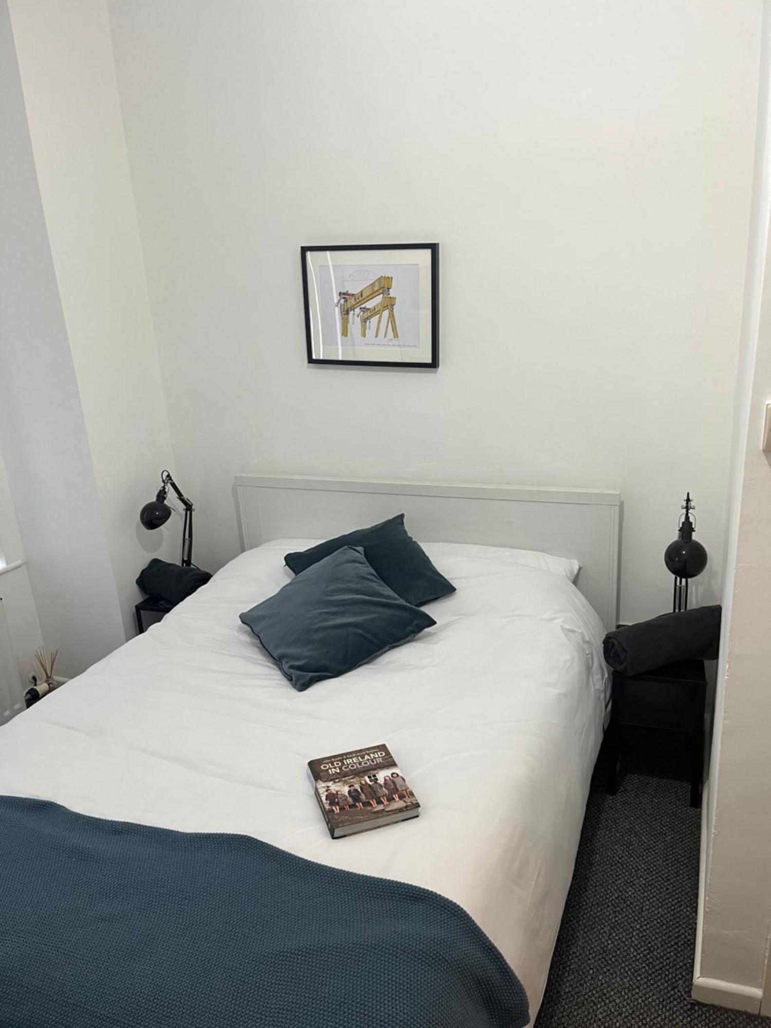 Loganberry Apartment Belfast Esterno foto