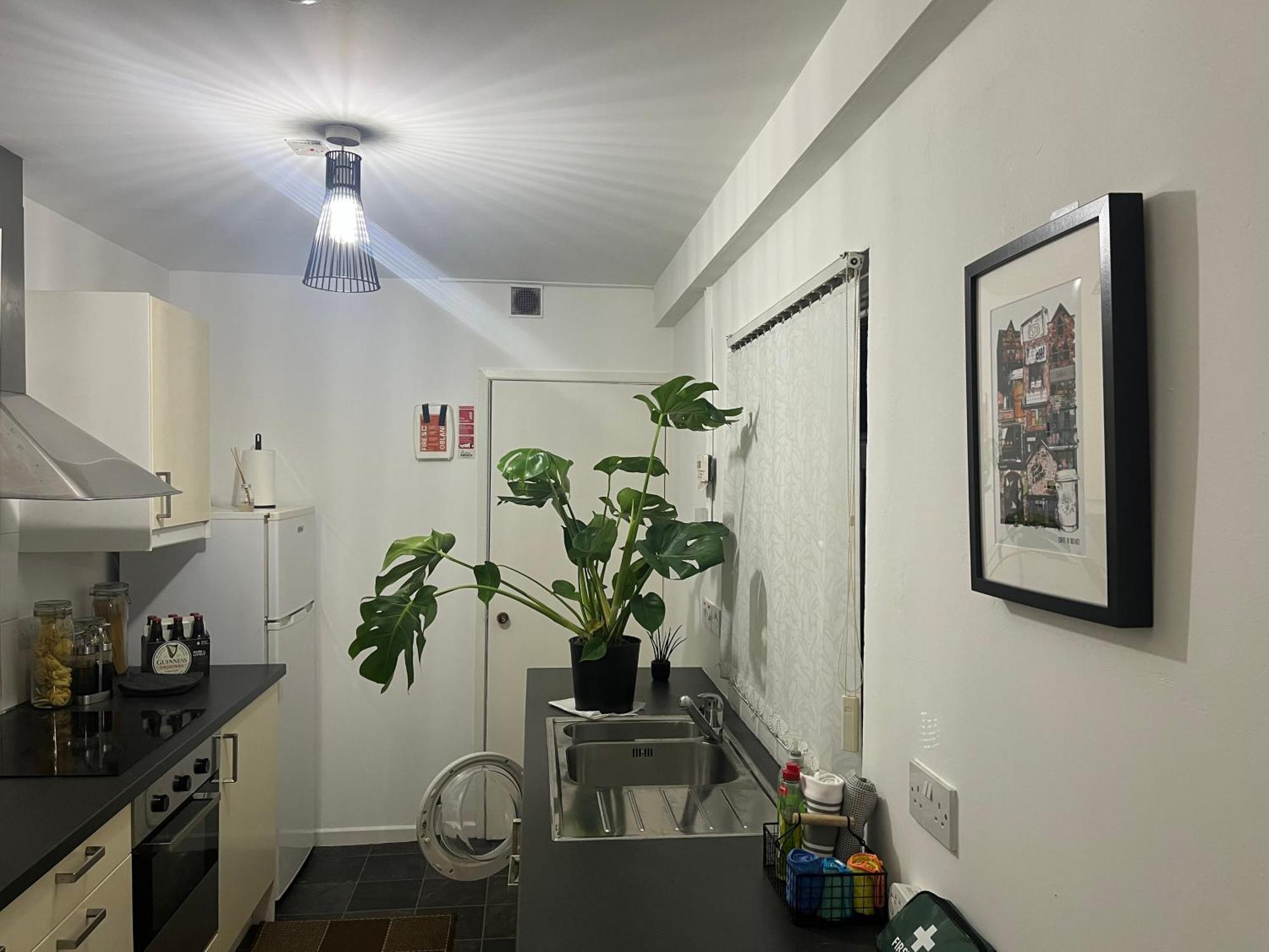 Loganberry Apartment Belfast Esterno foto
